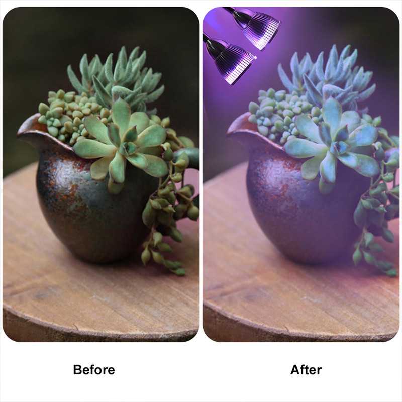 2 Heads Dimmable Indoor Plant Grow Lights