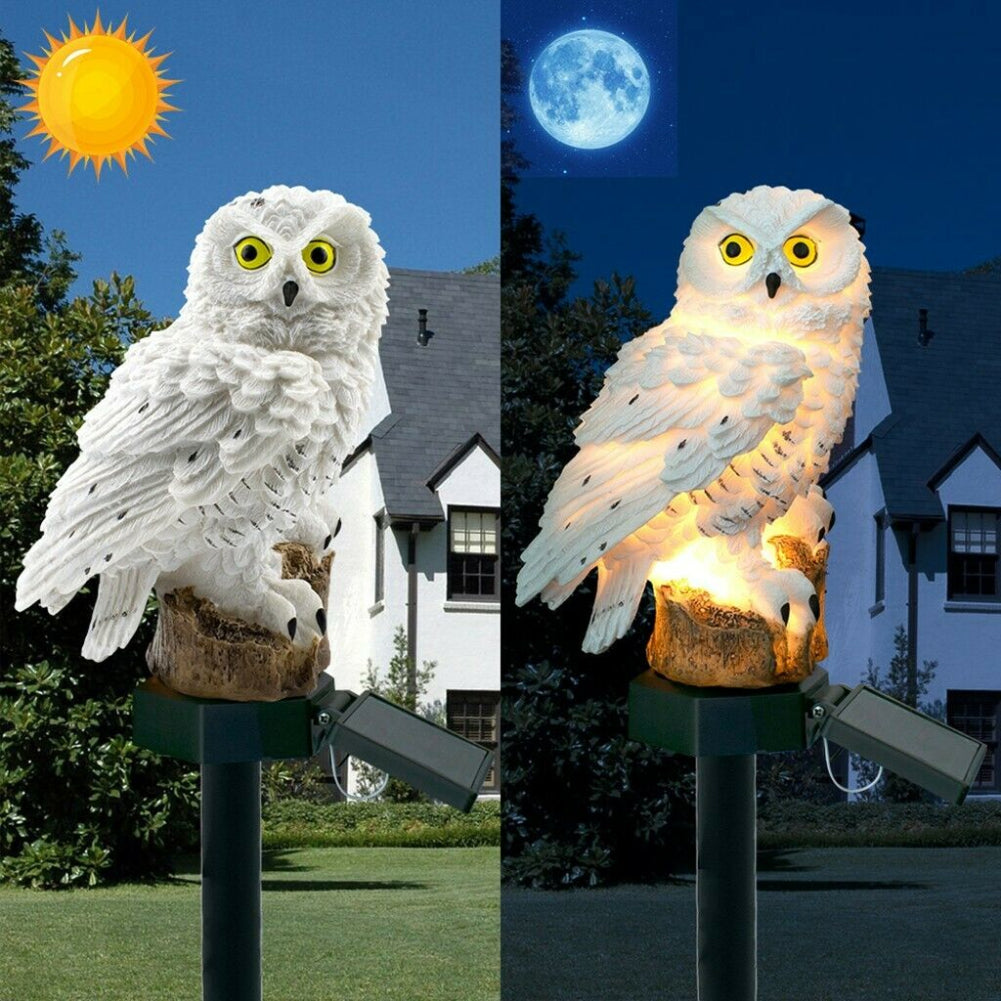 Animaux solaire La Chouette Nocturne