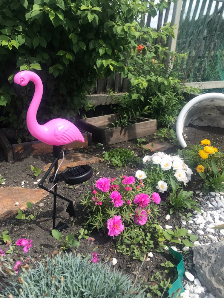Animaux solaire The Flamingo
