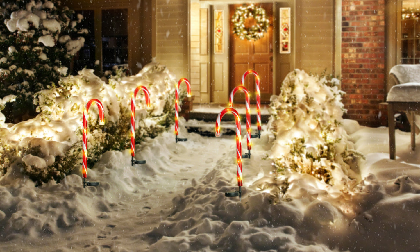 CANDY CANE