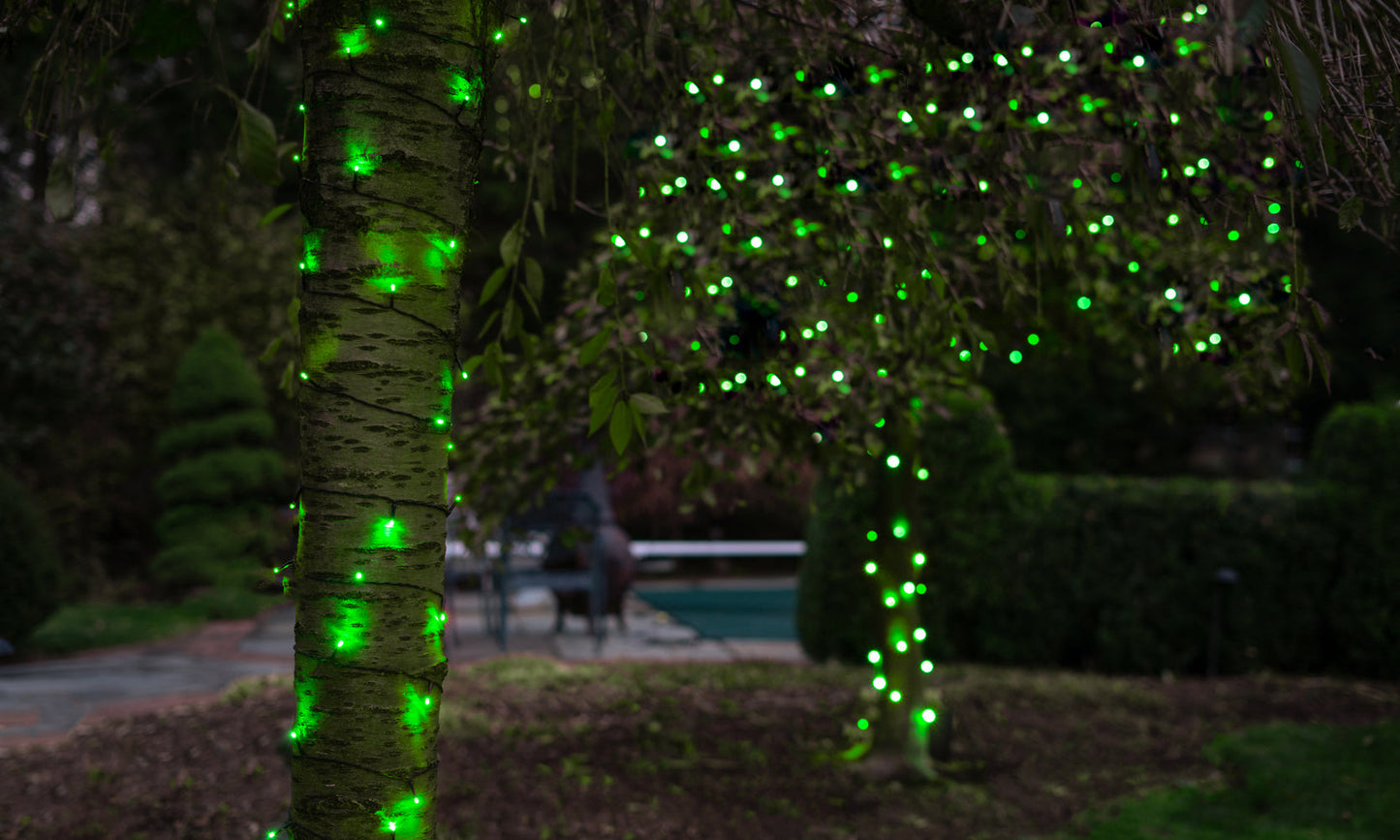 LITEUP 125 Green Color