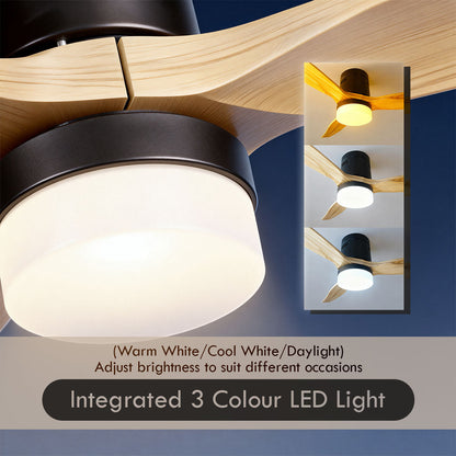[CLIMATE VOUCHER $400] iFan 52in DC Motor Ceiling Fan | Integrated 3-Colour LED Lights | 6 Speed Selection (IF8352DGGY)