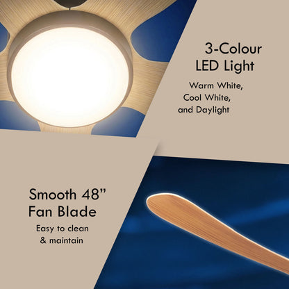 [CLIMATE VOUCHER $400] iFan 48in DC Motor Ceiling Fan | 5 Blades | 6 Speed Selection (IF8548LGDW)