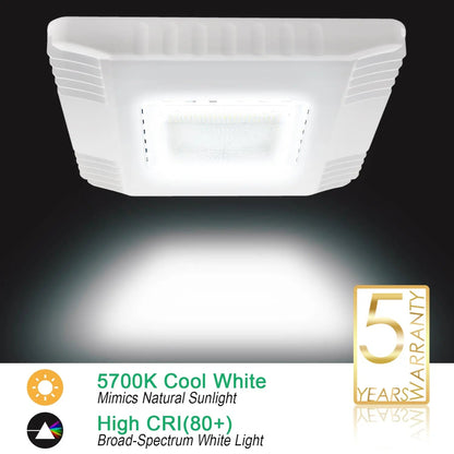 150 Watt  Led  Canopy Light-19500 Lumens-500W MH Equivalent-5700K-Surface Mount-UL DLC Listed-Gas Station Lighting