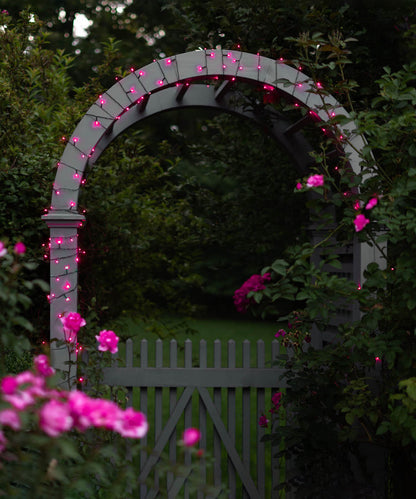 LITEUP 125 Pink Color