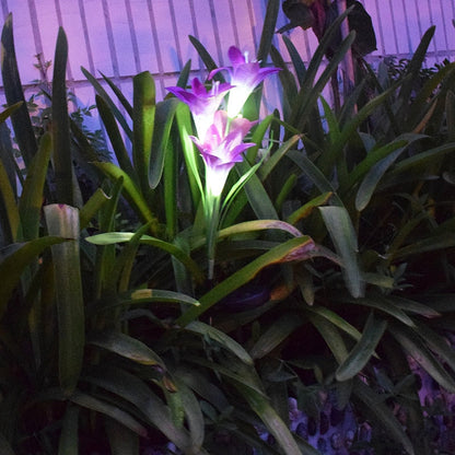 Piquet solaire jardin Lys de jardin