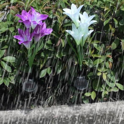 Piquet solaire jardin Lys de jardin