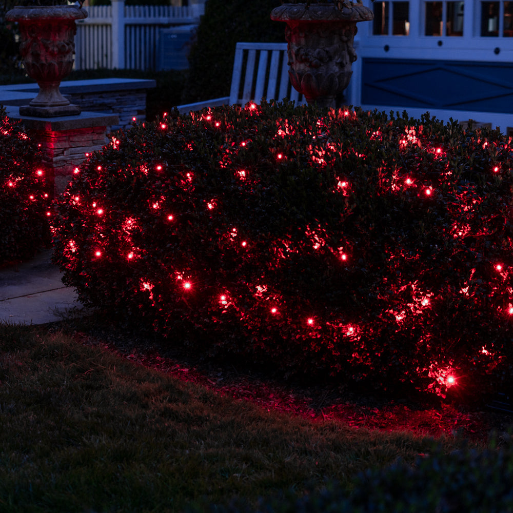 LITEUP 125 Red Color