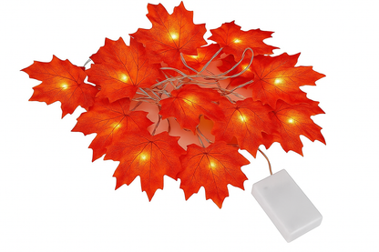 Modern White LED String Lights 3m 20 Warm White Lamps