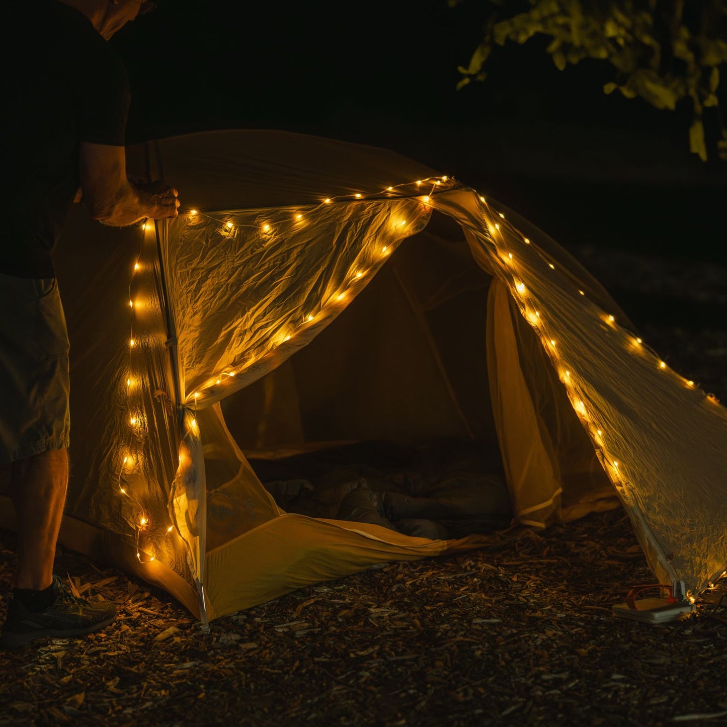 NEW! Solar String Light