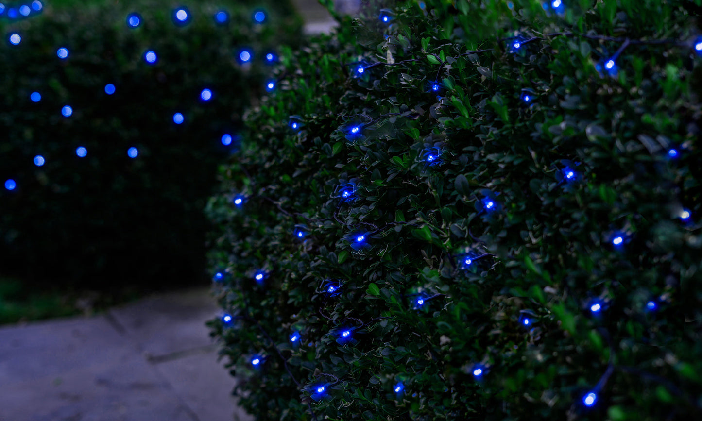 LITEUP 125 Blue Color