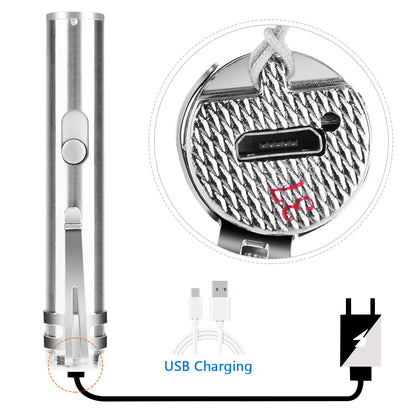 3-in-1 Rechargeable Cat Catch Pointer Toy Pet Training Tool
