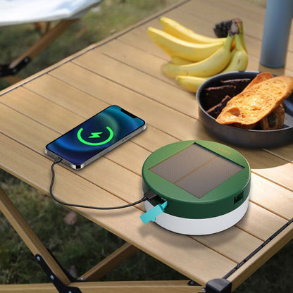 Guirlande solaire intelligente