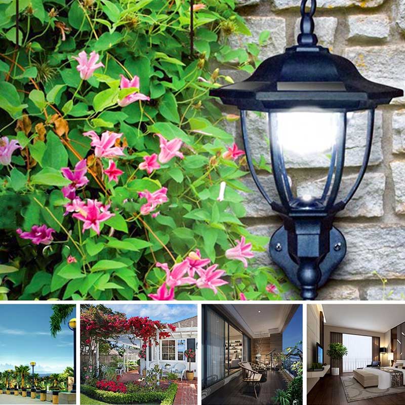 Lampe solaire Jardin Veilleuse pour Abri Noire