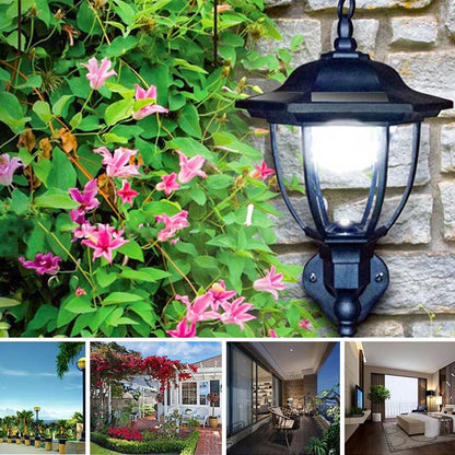 Lampe solaire Jardin Veilleuse pour Abri Noire