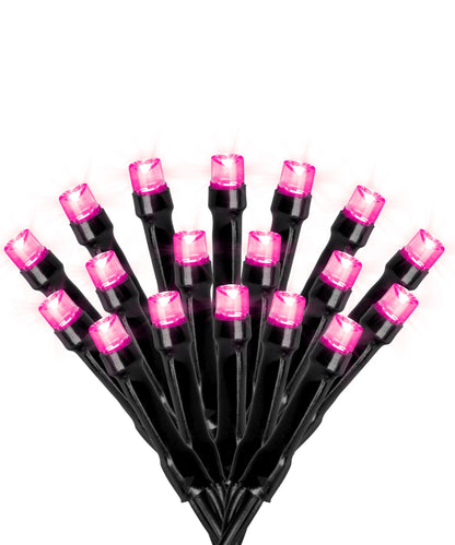 LITEUP 125 Pink Color