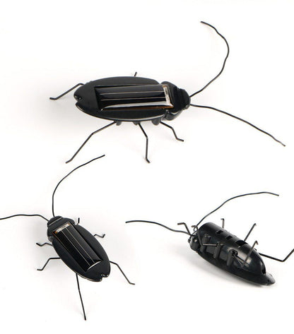 Animaux solaire Cafarde Noire