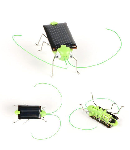 Gadget Solaire <br> Criquets Vert