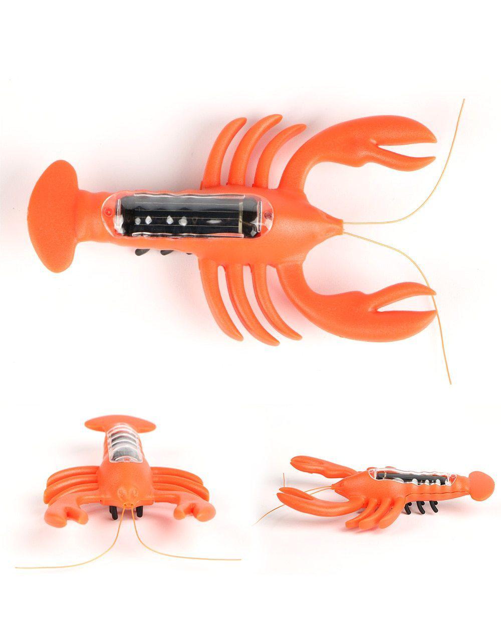 Animaux solaire Homard
