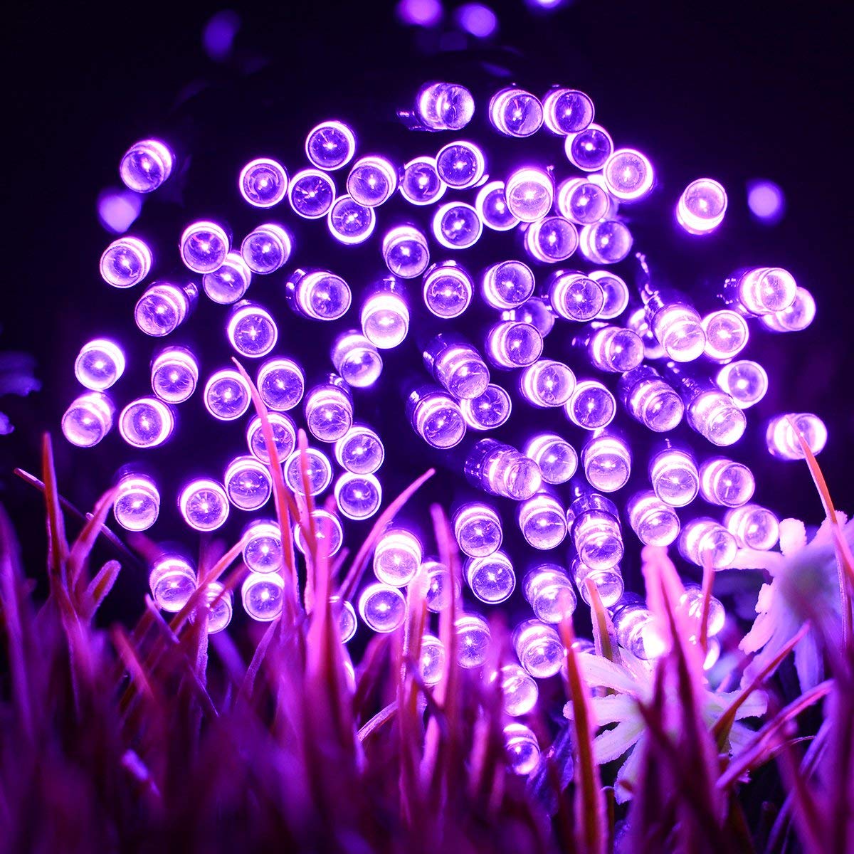 Guirlande Solaire Lumière de Fée
