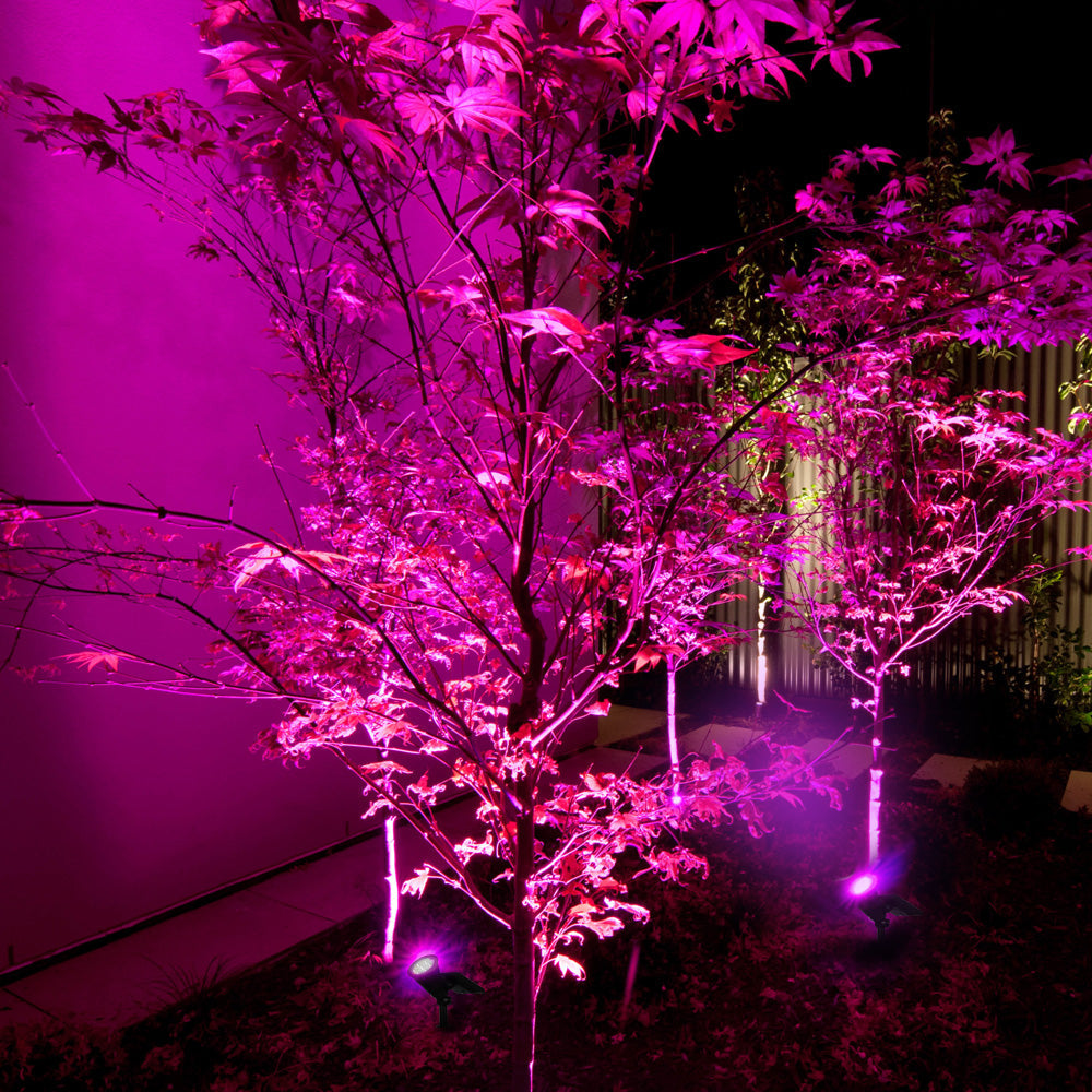 Piquet solaire jardin Spot Lumineux multicolore