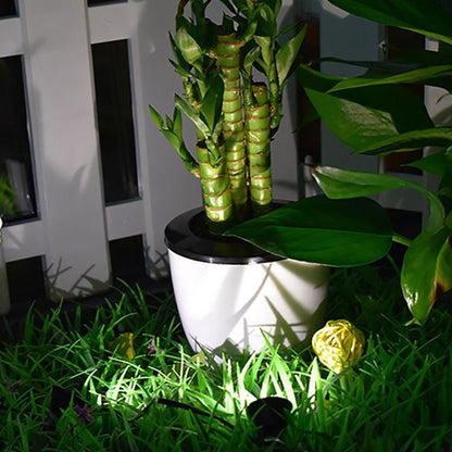 Lampe solaire jardin puissante pour plantes (2 Spot LED)