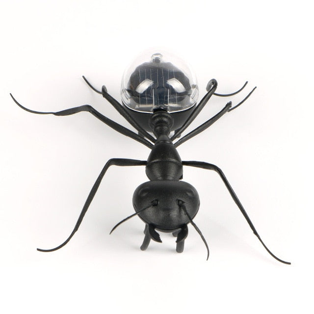 Gadget Solaire Fourmi Noire