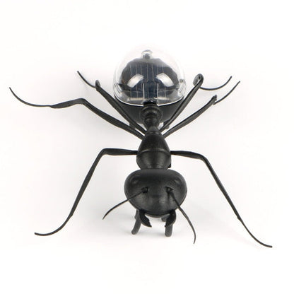 Gadget Solaire Fourmi Noire