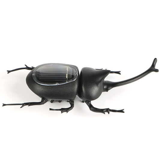 Gadget Solaire <br> Scarabée noire