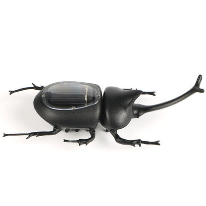 Gadget Solaire <br> Scarabée noire