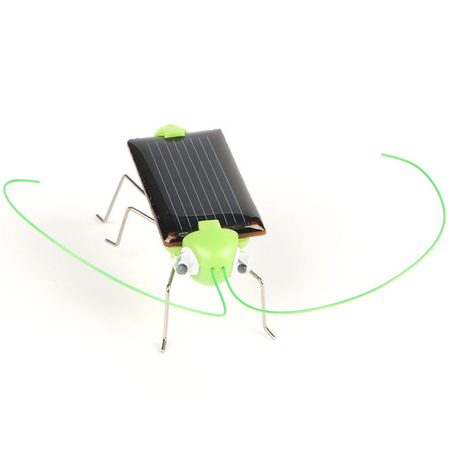 Gadget Solaire <br> Criquets Vert