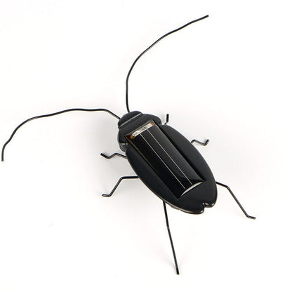Animaux solaire Cafarde Noire