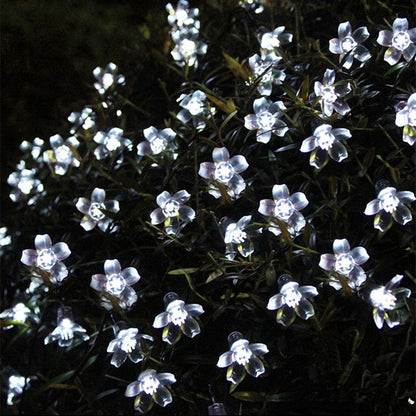 Guirlande Solaire <br> Fleur de Pêche