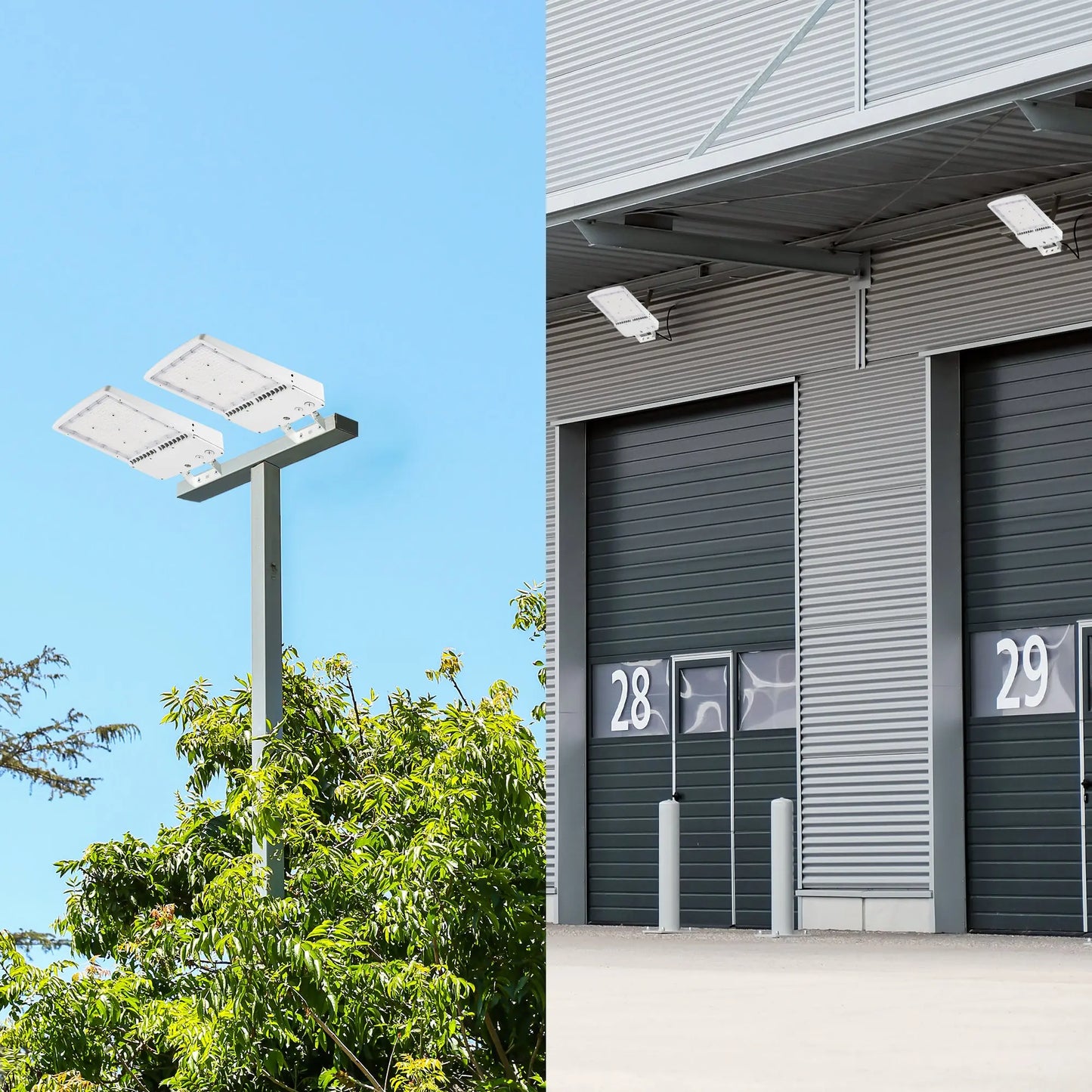 300W White Housing LED Parking Lot Light-1000W MH Equiv-42.000 Lumens-5000K Daylight-100-277V AC-UL& DLC Listed